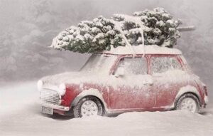 Lire la suite à propos de l’article Joyeux hiver !
