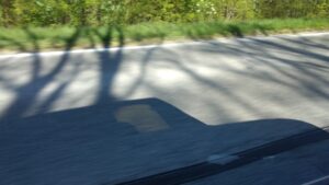 Lire la suite à propos de l’article focus to the road