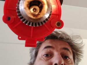 Lire la suite à propos de l’article Même pas dead !